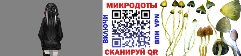 Псилоцибиновые грибы мухоморы  Строитель 